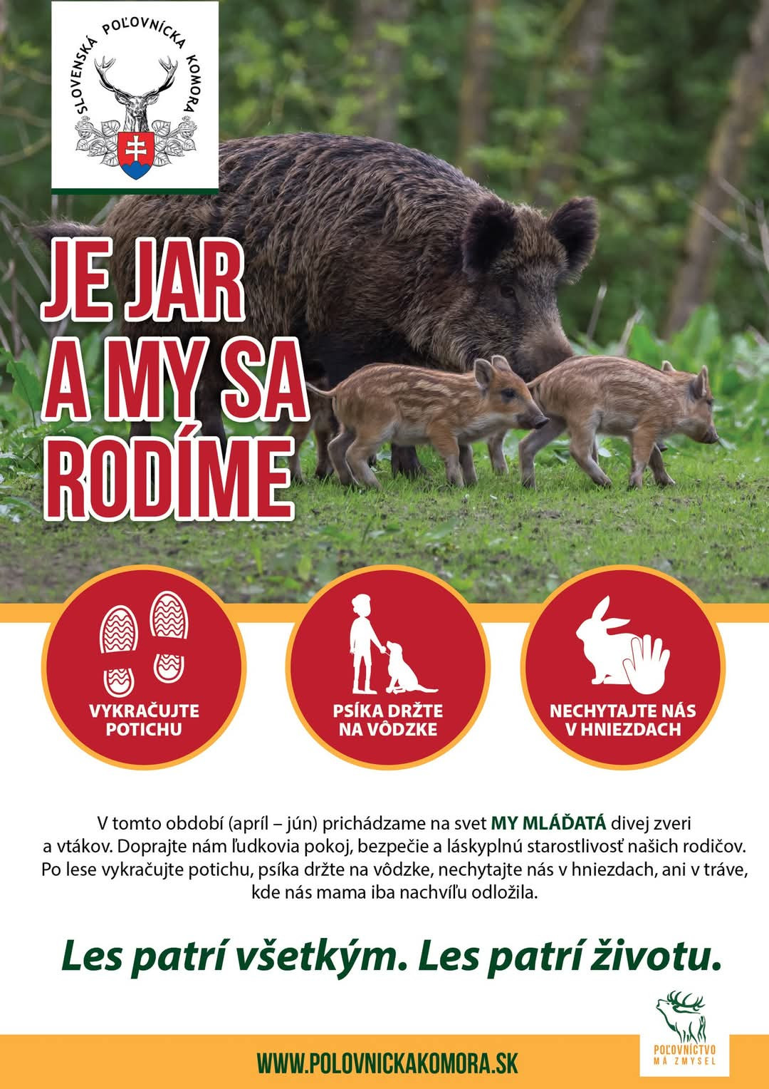 Jar - čas rodenia mláďat